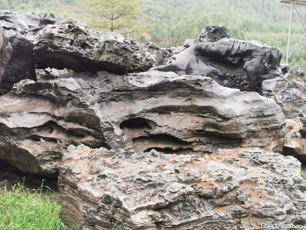 风景石、假山石大量有货，有需要的欢迎联系 - 新手上路 - 大庆生活社区 - 大庆28生活网 dq.28life.net