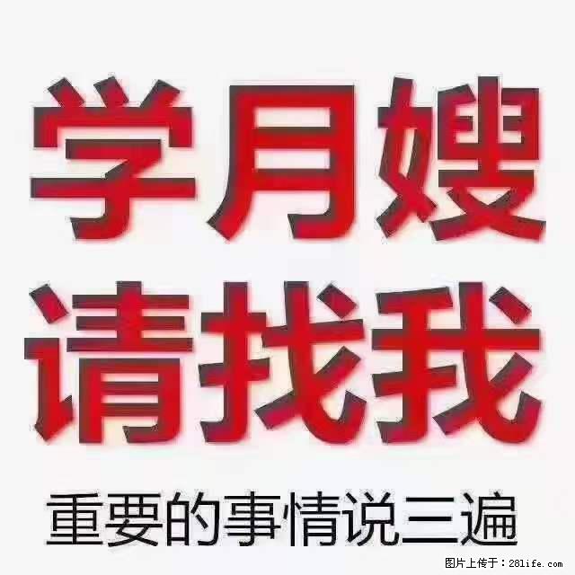 为什么要学习月嫂，育婴师？ - 其他广告 - 广告专区 - 大庆分类信息 - 大庆28生活网 dq.28life.net