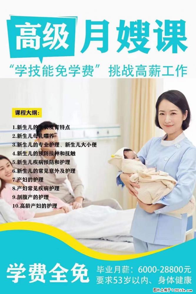 为什么要学习月嫂，育婴师？ - 其他广告 - 广告专区 - 大庆分类信息 - 大庆28生活网 dq.28life.net