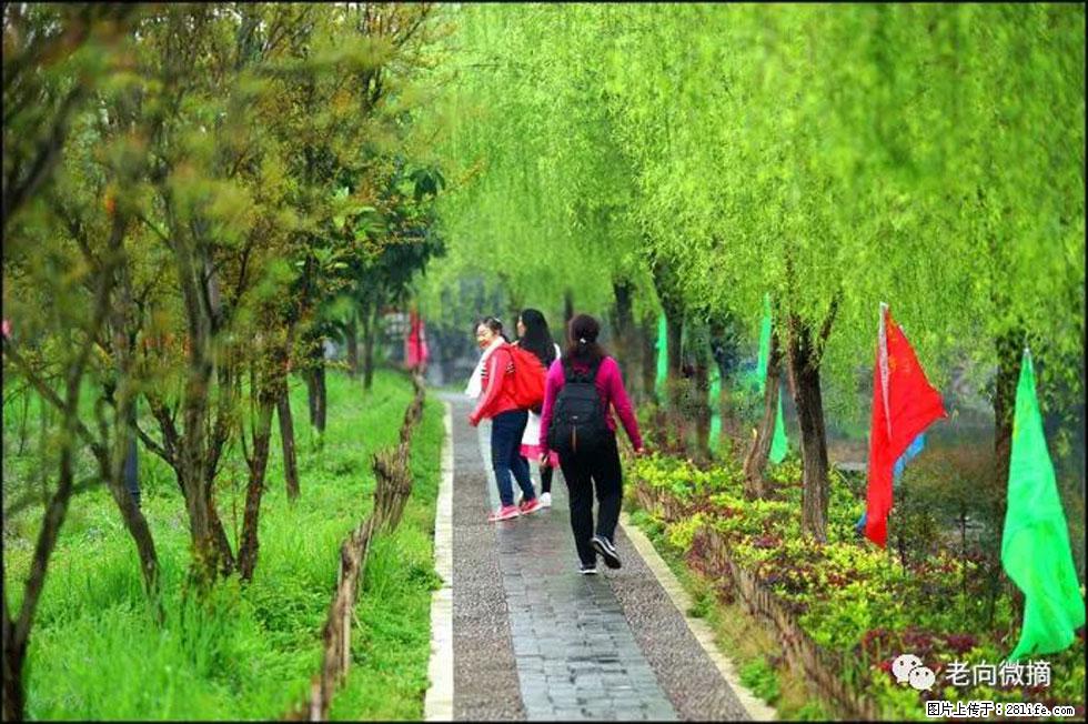 【春天，广西桂林灌阳县向您发出邀请！】江口老街又逢春 - 游山玩水 - 大庆生活社区 - 大庆28生活网 dq.28life.net