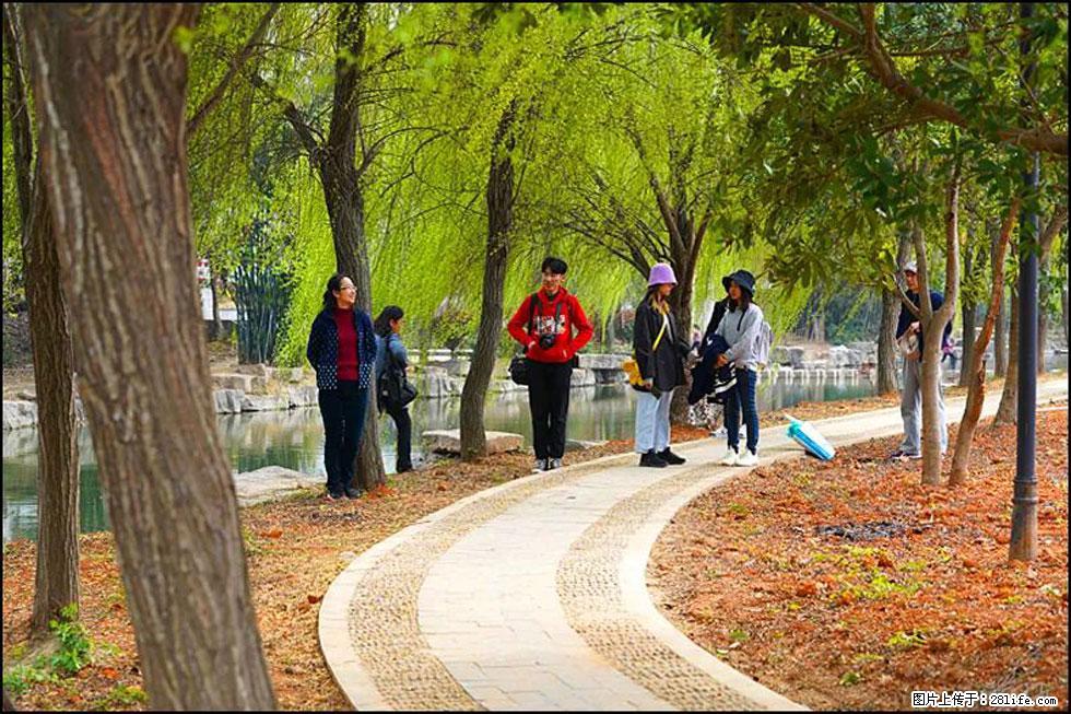 【春天，广西桂林灌阳县向您发出邀请！】江口老街又逢春 - 游山玩水 - 大庆生活社区 - 大庆28生活网 dq.28life.net