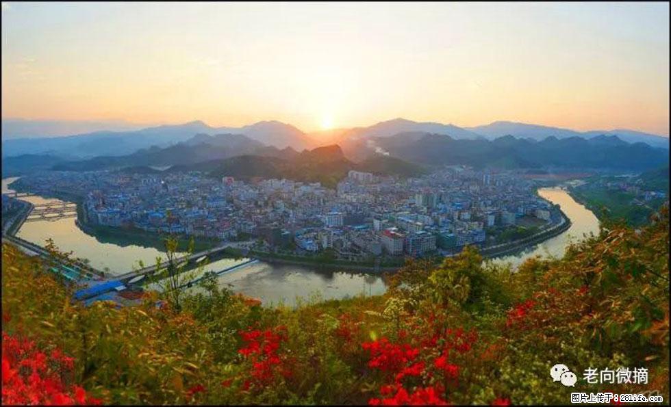 【春天，广西桂林灌阳县向您发出邀请！】登麒麟山，相约映山红 - 游山玩水 - 大庆生活社区 - 大庆28生活网 dq.28life.net
