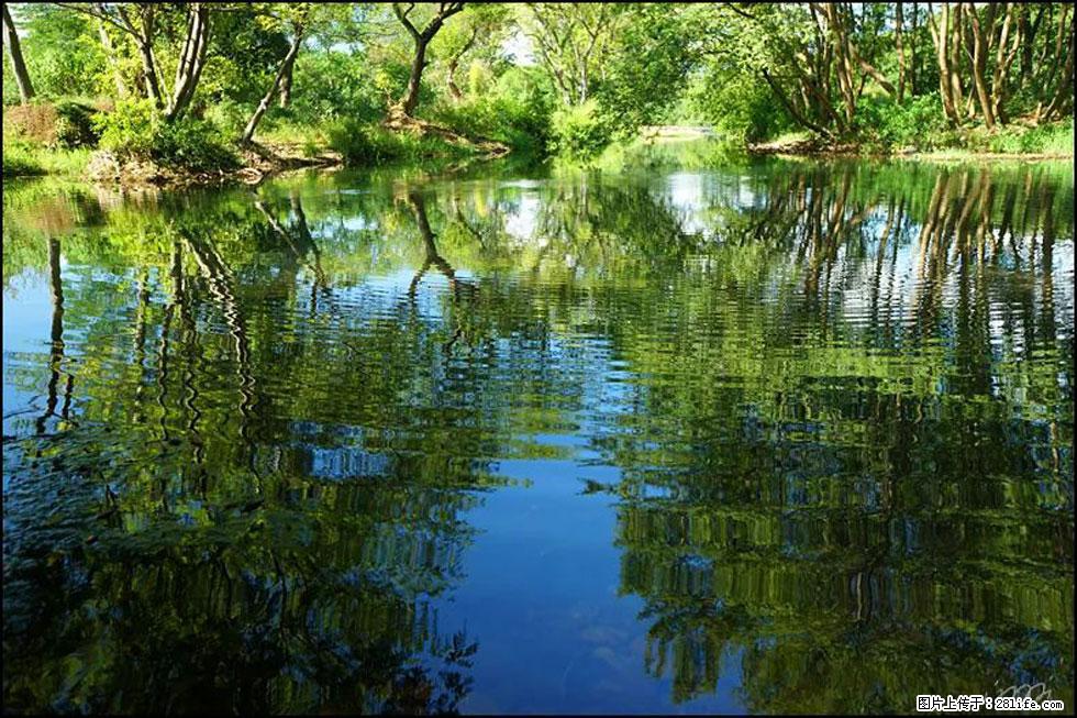 【春天，广西桂林灌阳县向您发出邀请！】熊家寨湿地公园 - 游山玩水 - 大庆生活社区 - 大庆28生活网 dq.28life.net