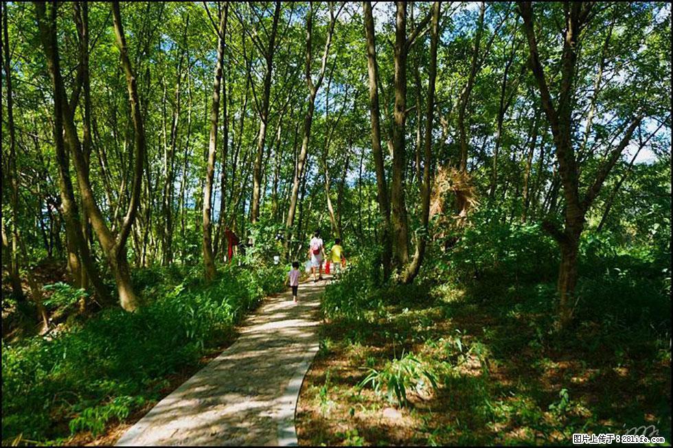 【春天，广西桂林灌阳县向您发出邀请！】熊家寨湿地公园 - 游山玩水 - 大庆生活社区 - 大庆28生活网 dq.28life.net