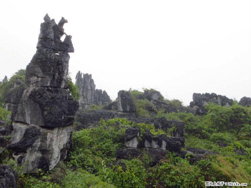 桂林旅游名城景点：灌阳文市石林 - 游山玩水 - 大庆生活社区 - 大庆28生活网 dq.28life.net