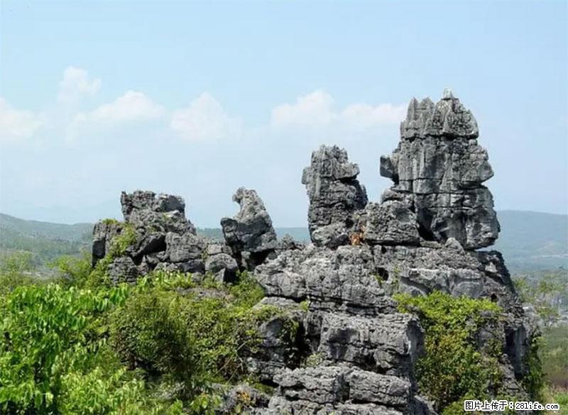 桂林旅游名城景点：灌阳文市石林 - 游山玩水 - 大庆生活社区 - 大庆28生活网 dq.28life.net