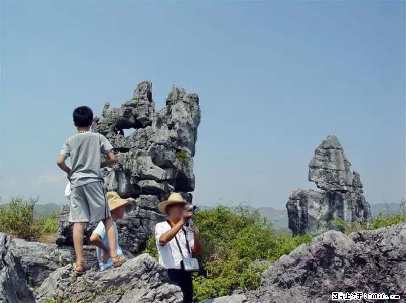 桂林旅游名城景点：灌阳文市石林 - 游山玩水 - 大庆生活社区 - 大庆28生活网 dq.28life.net