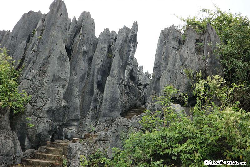 桂林旅游名城景点：灌阳文市石林 - 游山玩水 - 大庆生活社区 - 大庆28生活网 dq.28life.net