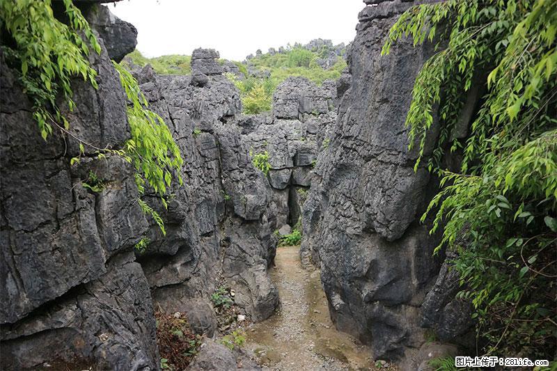 桂林旅游名城景点：灌阳文市石林 - 游山玩水 - 大庆生活社区 - 大庆28生活网 dq.28life.net