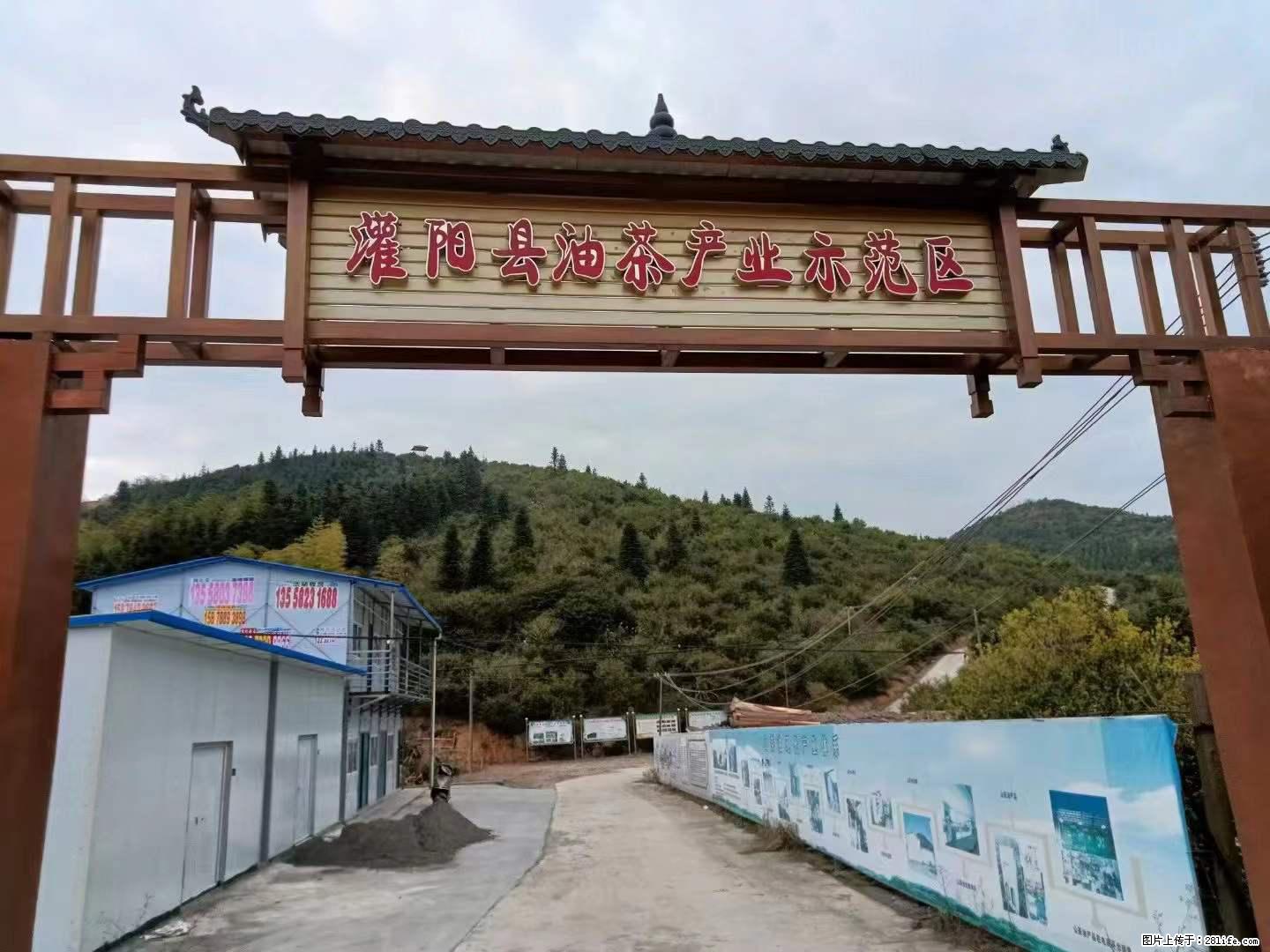 【灌阳县油茶产业示范区】一个有着充实的精神生活的人，对待身外之物自会有一种淡泊的态度 - 土特产 - 饮食特产 - 大庆分类信息 - 大庆28生活网 dq.28life.net