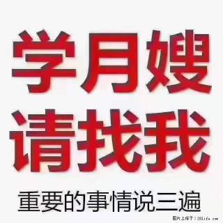 为什么要学习月嫂，育婴师？ - 大庆28生活网 dq.28life.net