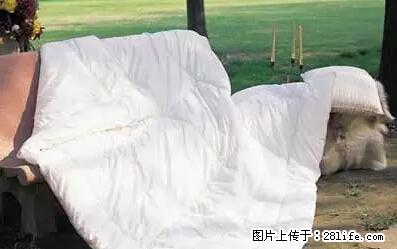 被子有异味？只要这样做，比晒太阳还强100倍！ - 家居生活 - 大庆生活社区 - 大庆28生活网 dq.28life.net