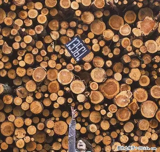 辞掉工作周游世界？现在他们在洗厕所…… - 游山玩水 - 大庆生活社区 - 大庆28生活网 dq.28life.net