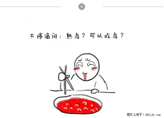 千万不要和这9种哈卵一起吃火锅！ - 美食天地 - 大庆生活社区 - 大庆28生活网 dq.28life.net
