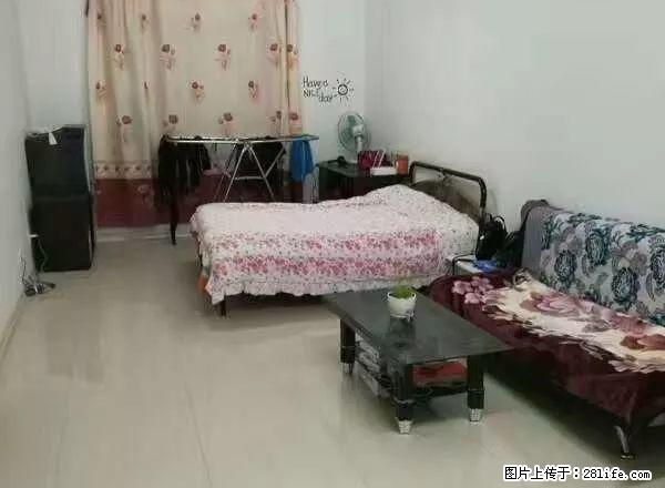 农大外包园附近联想公寓供暖好干净亮堂东西齐全两个人住特别温馨 - 房屋出租 - 房屋租售 - 大庆分类信息 - 大庆28生活网 dq.28life.net