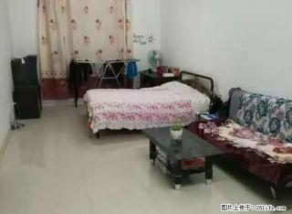 农大外包园附近联想公寓供暖好干净亮堂东西齐全两个人住特别温馨 - 大庆28生活网 dq.28life.net