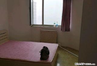 (单间出租)新村新玛特程宇附近锦江公馆 4室1厅1卫 男女不限 - 大庆28生活网 dq.28life.net