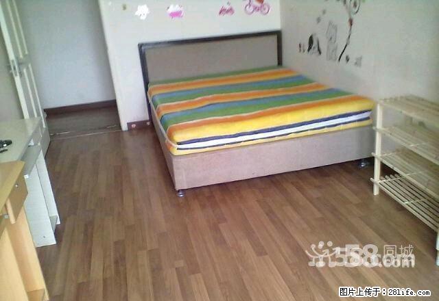 萨尔图唐人中心 5室1厅16平米 简单装修 押一付一 - 房屋出租 - 房屋租售 - 大庆分类信息 - 大庆28生活网 dq.28life.net