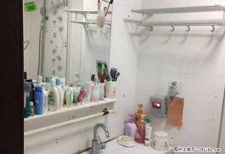 (单间出租)天伦王朝小公寓简单装修朝南设施齐全可付租半年付随时免费看房 - 大庆28生活网 dq.28life.net