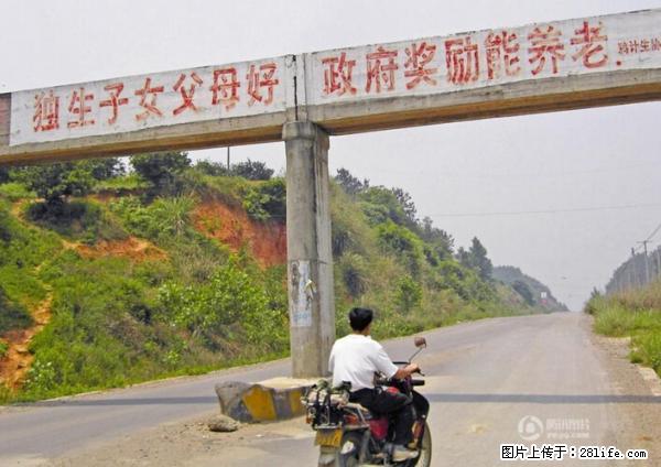 全面两孩政策计划明年元旦起实施 夫妻可延长生育假 - 大庆生活资讯 - 大庆28生活网 dq.28life.net