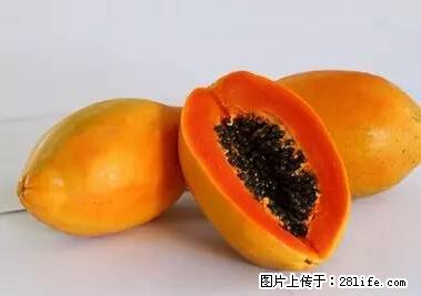 晕车、脚气、牙齿变黄、皮肤粗糙？学会这些三分钟搞定！ - 大庆生活资讯 - 大庆28生活网 dq.28life.net