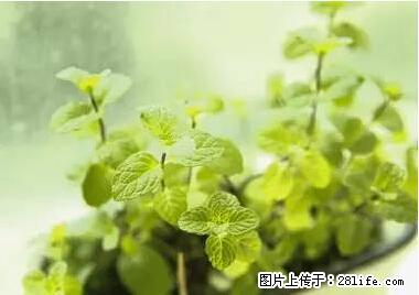 晕车、脚气、牙齿变黄、皮肤粗糙？学会这些三分钟搞定！ - 大庆生活资讯 - 大庆28生活网 dq.28life.net