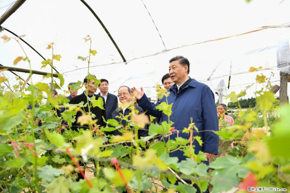 习近平赴广西考察调研 - 大庆生活资讯 - 大庆28生活网 dq.28life.net