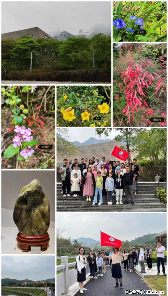 “粤灌文化 美好生活”油茶文化主题活动在广东深圳成功举办 - 大庆生活资讯 - 大庆28生活网 dq.28life.net