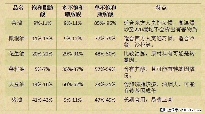 揭秘茶油的5大核心营养成分！被称为人体健康的“守护盾”！ - 大庆生活资讯 - 大庆28生活网 dq.28life.net