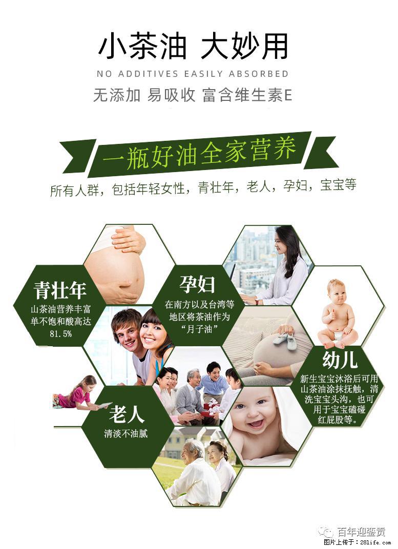 世界没有真相，只有认知，最好的食用油是中国的山茶油！ - 大庆生活资讯 - 大庆28生活网 dq.28life.net