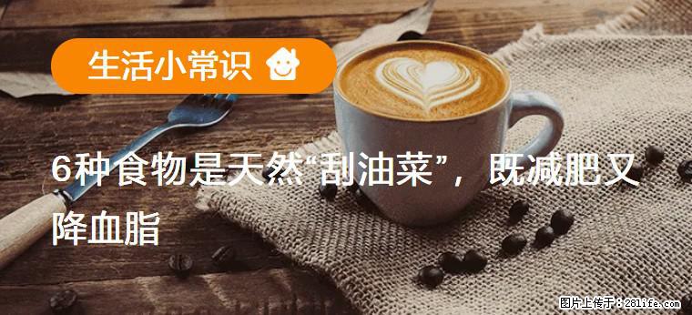 【生活小常识】6种食物是天然“刮油菜”，既减肥又降血脂 - 大庆生活资讯 - 大庆28生活网 dq.28life.net