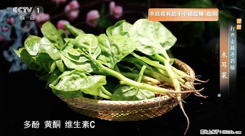 比牛奶补钙还厉害！凉血解毒、稳血糖...这菜冬天必吃，很多人却当草 - 大庆生活资讯 - 大庆28生活网 dq.28life.net