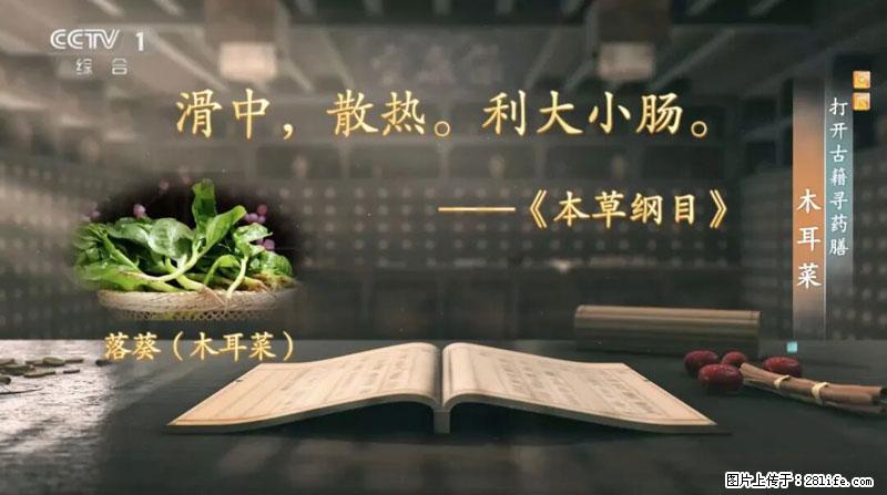 比牛奶补钙还厉害！凉血解毒、稳血糖...这菜冬天必吃，很多人却当草 - 大庆生活资讯 - 大庆28生活网 dq.28life.net
