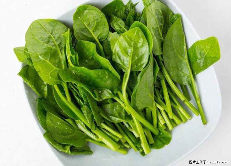 这些蔬菜是“天然钙片”,这6种被医生重点推荐 - 大庆生活资讯 - 大庆28生活网 dq.28life.net