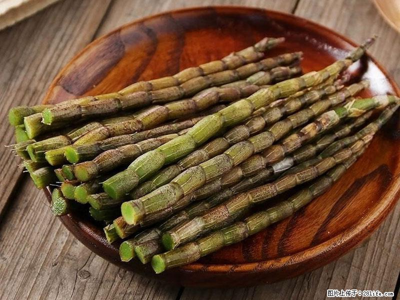 铁皮石斛的作用与功能主治 - 大庆生活资讯 - 大庆28生活网 dq.28life.net
