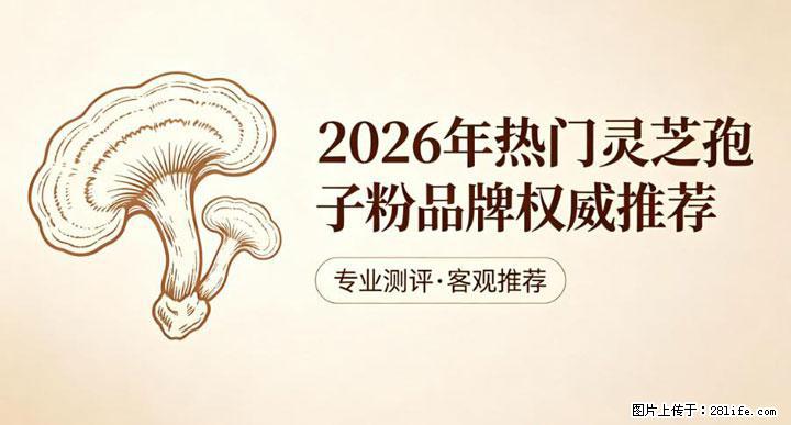 灵芝孢子粉含量越高越有效？2026 年七款热门品牌深度实测，肠胃敏感者避坑指南 - 大庆生活资讯 - 大庆28生活网 dq.28life.net